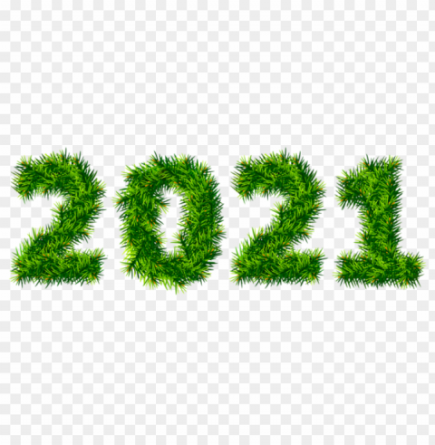 2021 pine treeimage Isolated Design Element on PNG