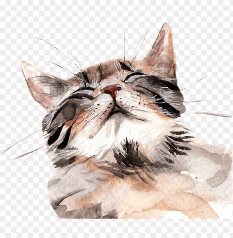 24 about gatos on we heart it - watercolours of cats Free PNG images with transparency collection