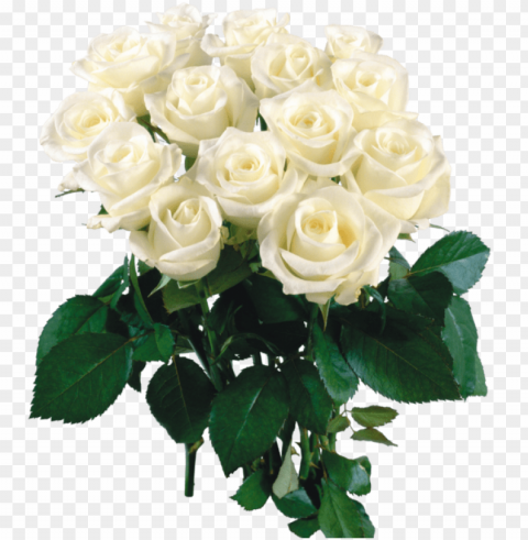 2444 x - beautiful flowers roses white PNG images with transparent canvas compilation