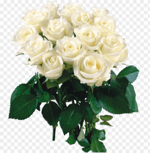 2444 X - Beautiful Flowers Roses White PNG Images With Transparent Canvas Compilation