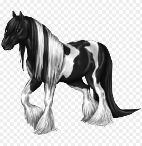28 collection of gypsy vanner horse drawing - gypsy horse Isolated Subject in HighQuality Transparent PNG