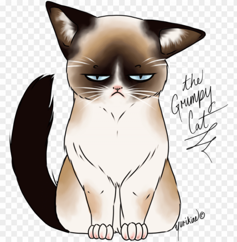 28 collection of kawaii grumpy cat drawing - transparent grumpy cat drawi PNG for personal use