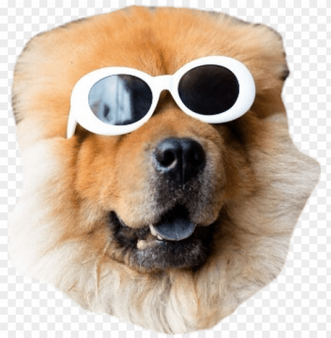 3 custom artwork - dogs cute Isolated Object on Transparent Background in PNG