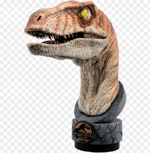 30 jurassic park life-size bust male raptor - jurassic park raptor model PNG Object Isolated with Transparency