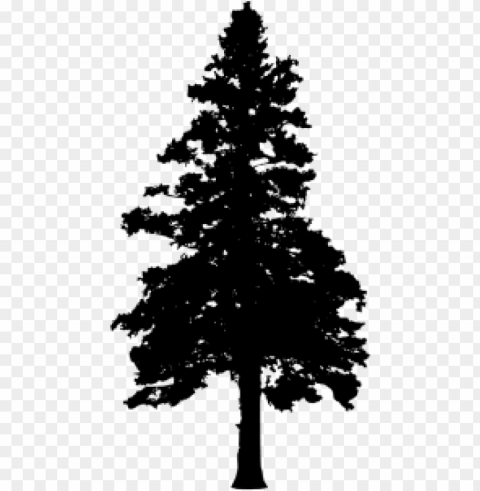 30 pine tree silhouette vol - pine trees transparent background Free download PNG images with alpha channel diversity