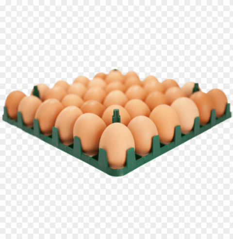 36 egg tray - eggs in a tray Transparent PNG graphics library