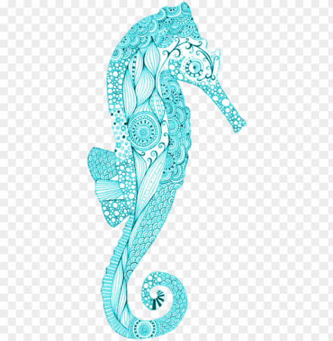 369 images about s w e e t s e a on we heart it - northern seahorse PNG Graphic Isolated with Transparency