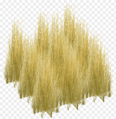 3d tree entourage trees to plant donuts monitor - tall grass texture PNG images with no fees