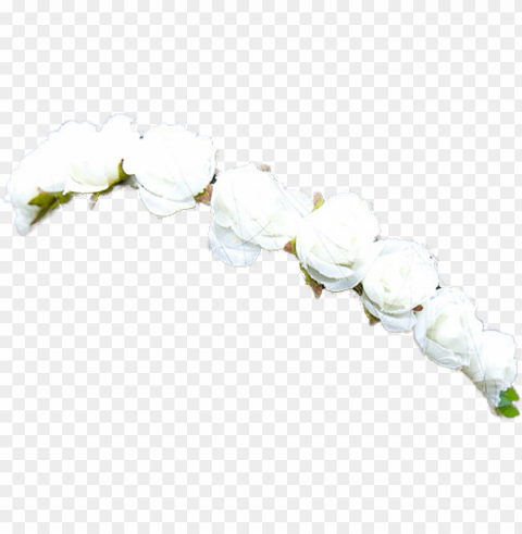 49 images about اطواق ورد on we heart it - white flower crown Transparent PNG Isolated Element with Clarity