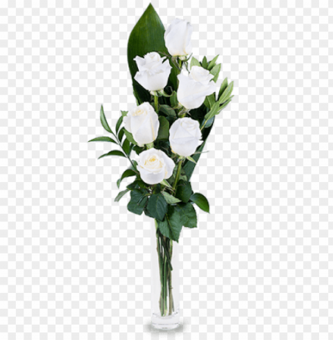 6 white roses - mothers day flowers 2018 PNG images with transparent layer