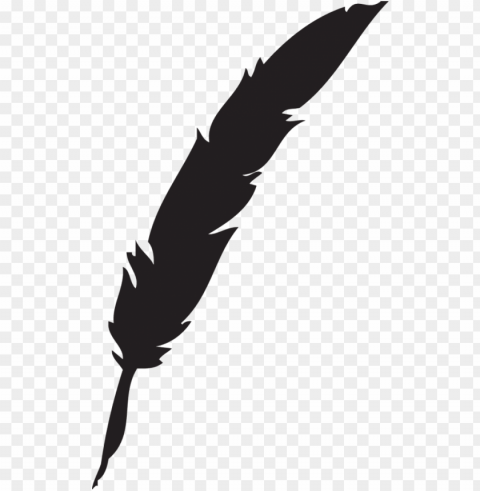 617 feather quill pen - feather quill pen Isolated Graphic on Transparent PNG