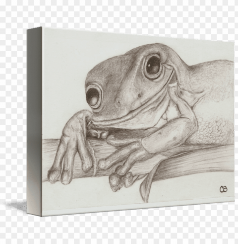 650 x 530 3 - toad Transparent PNG Isolated Subject