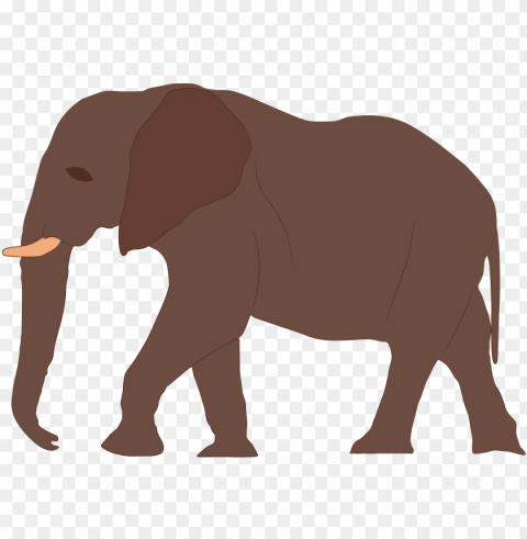7 ft - indian elephant Clear Background PNG with Isolation