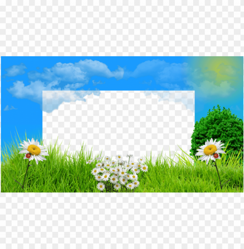 7 molduras primavera 2015 com fundo transparente - camomile PNG files with no background free