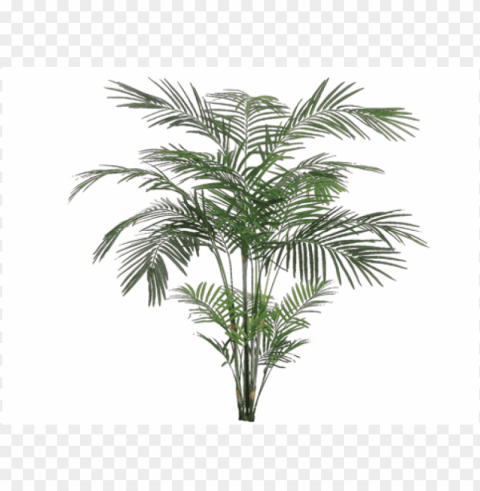 7' tropical areca palm x4 with 705 leaves - silk plants direct areca palm tree - green - pack of Clear PNG pictures compilation