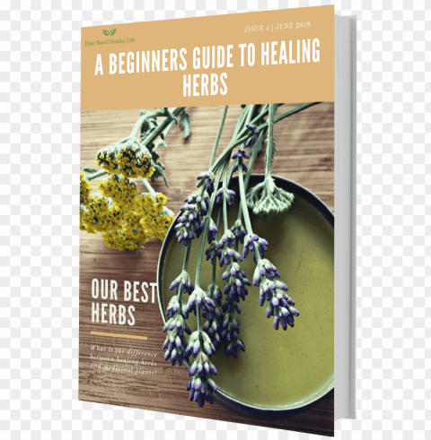 7c608bae16c01519268193 herb 3d book cover reduced twice - herb HighQuality Transparent PNG Isolated Artwork