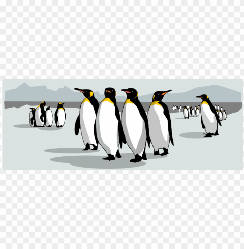 800 x 600 0 - king pengui PNG files with clear background