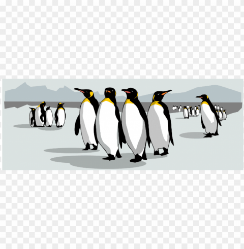 800 x 600 0 - king pengui PNG files with clear background PNG transparent with Clear Background ID 8be30fee