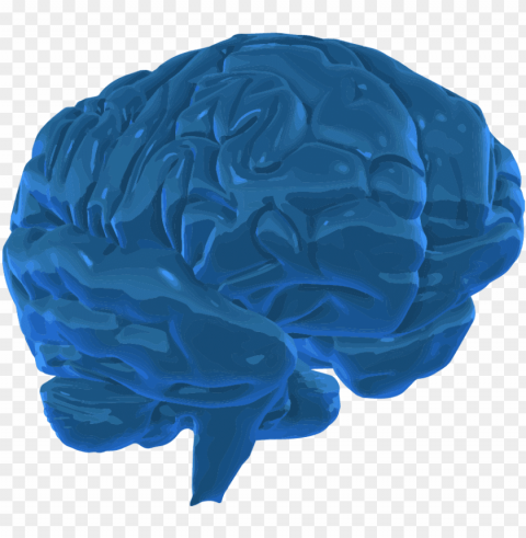 a 3d graphic image of the human brain - blue 3 d brain Clear Background PNG Isolated Item