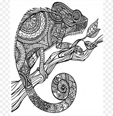 a color of his own chameleon coloring page PNG transparent pictures for projects