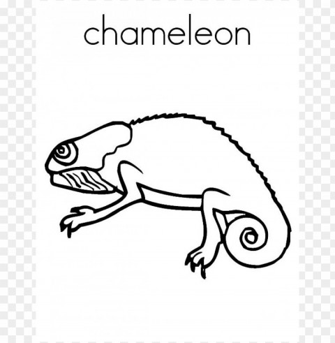 a color of his own chameleon coloring page PNG with clear background extensive compilation