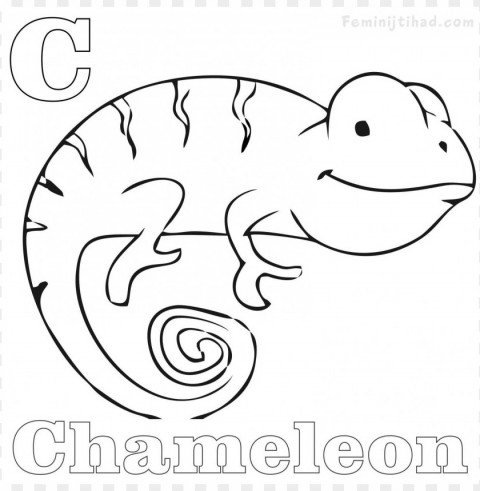 a color of his own chameleon coloring page PNG with clear overlay