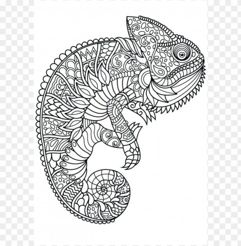 a color of his own chameleon coloring page Transparent PNG graphics complete collection