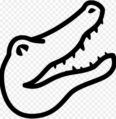 a drawing of a alligator head - alligator drawi Transparent PNG images for design PNG transparent with Clear Background ID 7d3f864b