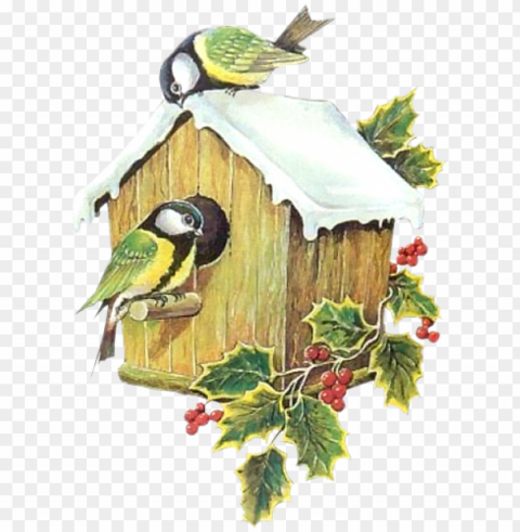 a feedback would be very nice - bird in house winter clipart Isolated Subject with Clear Transparent PNG