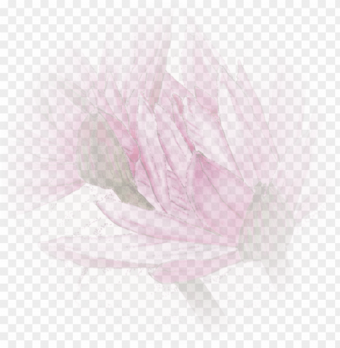 a gentle hands-on and deeply relaxing therapy that Transparent PNG pictures for editing