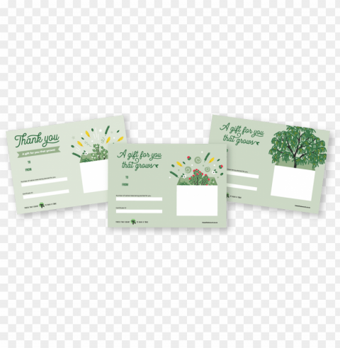 a native tree lasts a lifetime and your business receives - paper Clear Background Isolated PNG Graphic