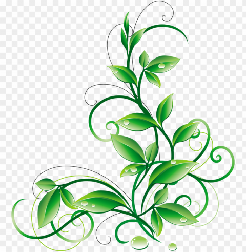 a orig pinterest aorigpng - green color flower Transparent PNG Isolated Object Design