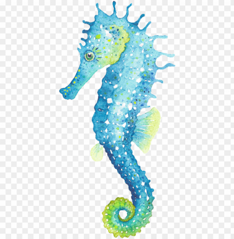 A Seahorse - Seahorse Illustratio PNG Image With Isolated Artwork