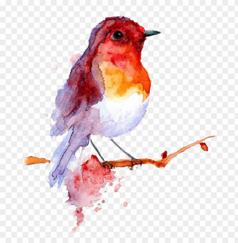 a single image could have been used - painting watercolor bird Transparent PNG images for printing PNG transparent with Clear Background ID 9f58055a