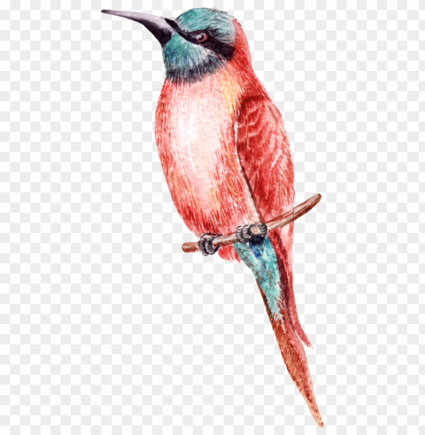 a material looking for a distant bird - bird PNG images with transparent canvas compilation
