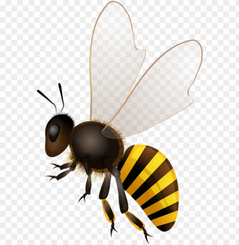 abeilles abeja abelha bees - honey bee drawing PNG transparent designs