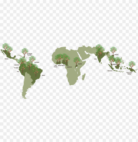 about bean & co - global distribution of cocoa PNG Image with Transparent Cutout PNG transparent with Clear Background ID f3e49f73