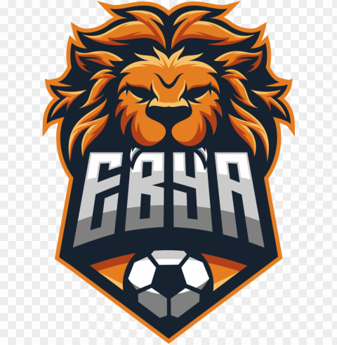 about ebya outdoor soccer - dls logo Clean Background Isolated PNG Art