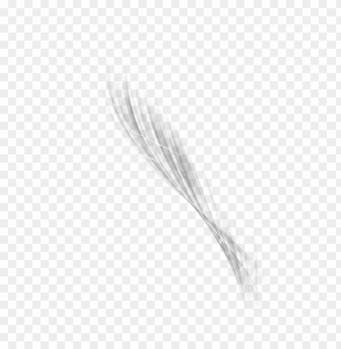 abstract lines black and white Isolated Object on Transparent Background in PNG