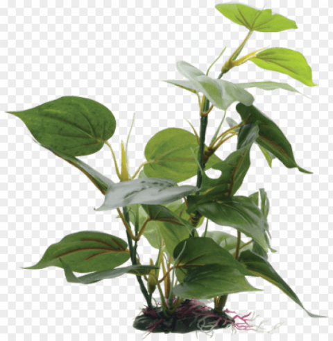 Adds A Realistic Look To Your Aquarium With Colours - Fluval Plants Transparent PNG Images For Printing