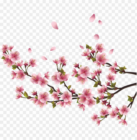 adesivo de parede flor de cerejeira sakura - p 94x64cm Free PNG download PNG transparent with Clear Background ID aecc5d3d