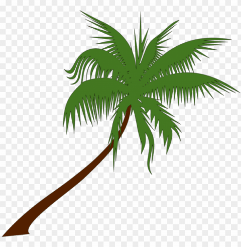 adonidia tree download art document - palm tree vector Transparent background PNG images comprehensive collection