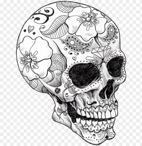 adult coloring pages skull PNG with Clear Isolation on Transparent Background