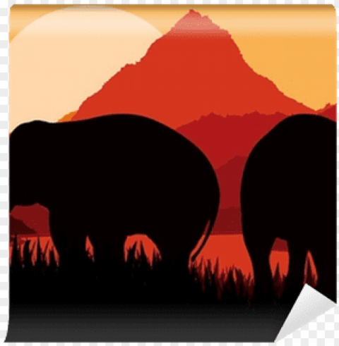 african elephant Free download PNG images with alpha transparency