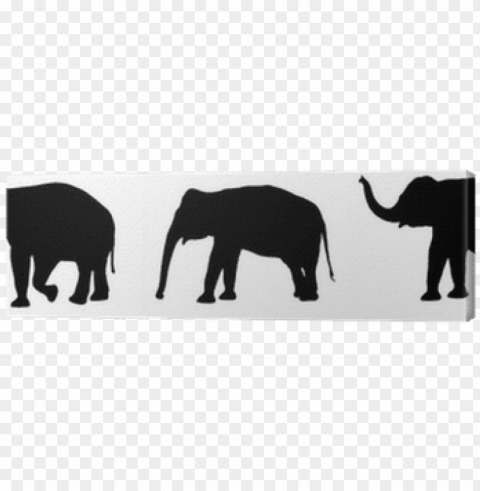 african elephant PNG for design PNG transparent with Clear Background ID a9abe6ee