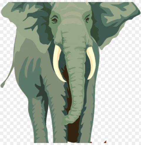 african elephant shower curtain Isolated Element in HighQuality PNG
