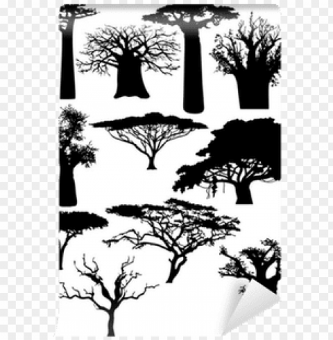 African Trees Transparent PNG Images Bundle