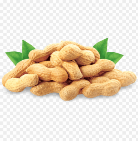 agoda malaysia - cold pressed groundnut oil PNG Image with Transparent Isolated Design