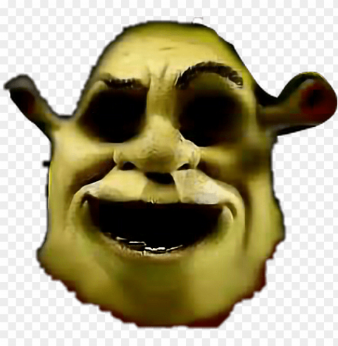 ahhhhh spooky scary shrek shrekisloveshrekislife memes - shrek face transparent Clean Background Isolated PNG Icon