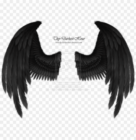 ailes de demon - black raven wings HighResolution PNG Isolated Artwork